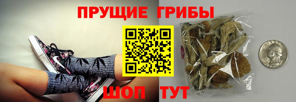 Галлюциногенные грибы Cubensis  где можно купить наркотик  Медногорск  Вход с VPN 