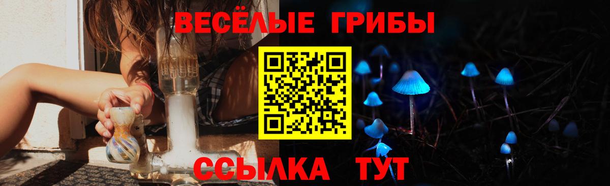 Псилоцибиновые грибы Psilocybine cubensis Медногорск